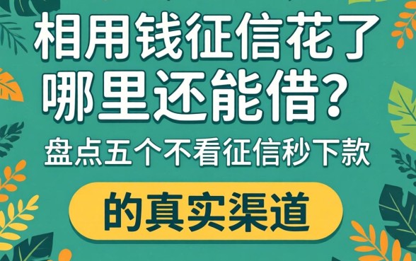 急用钱征信花了哪里还能借？盘点五个不看征信秒下款的真实渠道