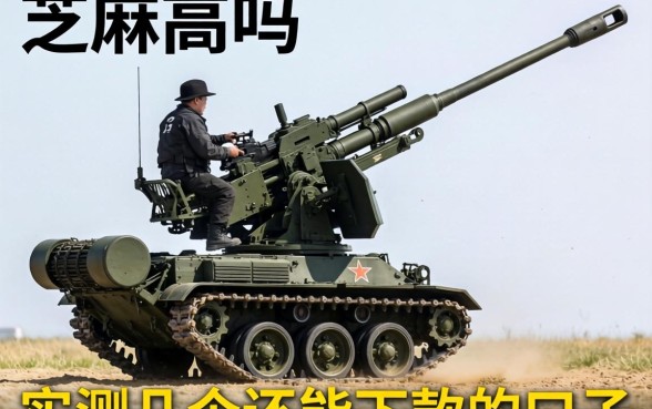 有不看芝麻的高炮吗？实测几个还能下款的口子