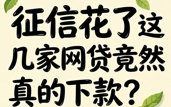 我征信花了，这几家网贷竟然真的下款了
