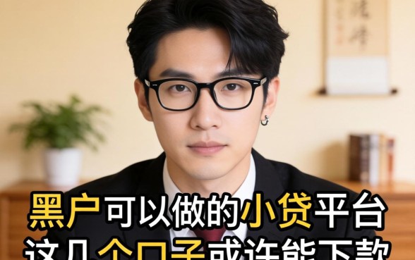 揭秘黑户可以做的小贷平台，这几个口子或许能下款