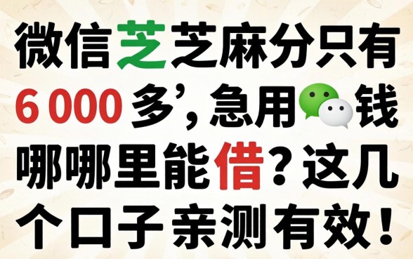 微信芝麻分只有600多，急用钱哪里能借？这几个口子亲测有效！