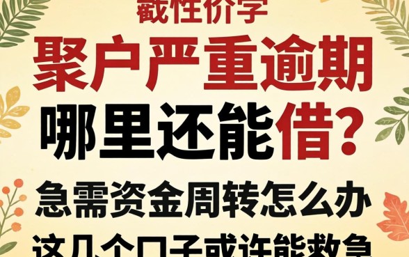 黑户严重逾期哪里还能借？急需资金周转怎么办？这几个口子或许能救急