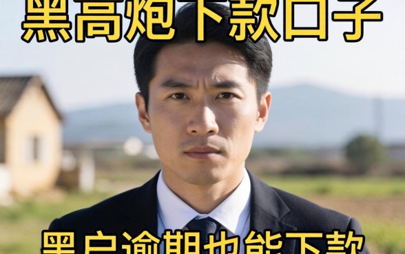 我测试了2026年高炮下款口子，发现黑户逾期也能下款背后的真相