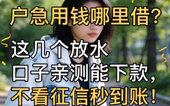 黑户急用钱哪里借?这几个放水口子亲测能下款,不看征信秒到账!