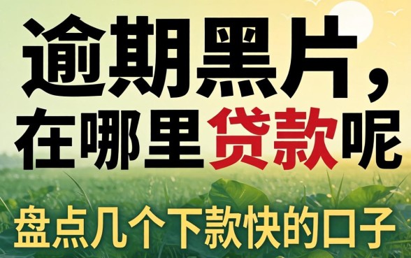 网贷逾期黑户在哪里能贷款呢？盘点几个下款快的口子