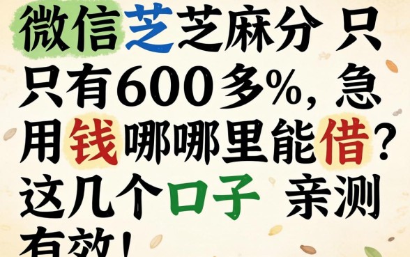 微信芝麻分只有600多，急用钱哪里能借？这几个口子亲测有效！