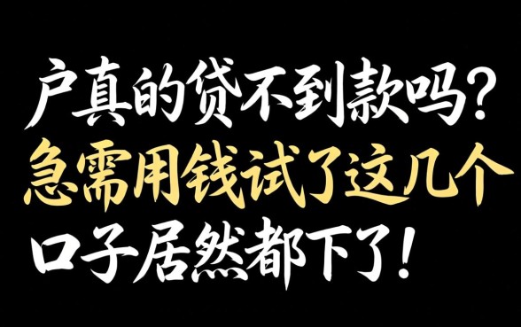 纯白户真的贷不到款吗?急需用钱试了这几个口子居然都下了!