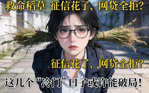 绝望边缘的救命稻草：征信花了、网贷全拒？这几个“冷门”口子或许能破局！