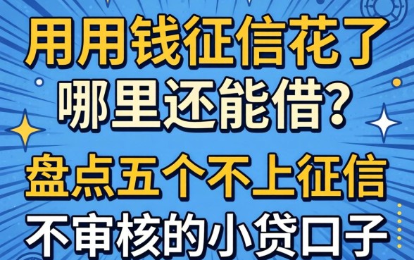 急用钱征信花了哪里还能借?盘点五个不上征信不审核的小贷口子