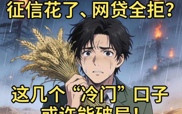 绝望边缘的救命稻草：征信花了、网贷全拒？这几个“冷门”口子或许能破局！