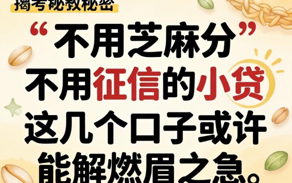揭秘不用芝麻分不用征信的小贷，这几个口子或许能解燃眉之急