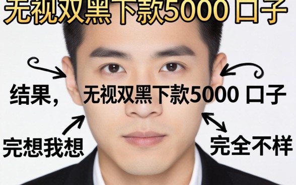 我试了所谓无视双黑下款5000的口子，结果和我想的完全不一样