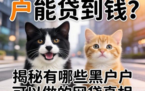 黑户能贷到钱吗？揭秘有哪些黑户可以做的网贷真相