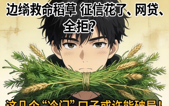 绝望边缘的救命稻草：征信花了、网贷全拒？这几个“冷门”口子或许能破局！
