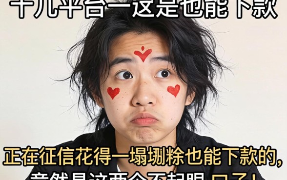 我试了十几个平台，发现征信花得一塌糊涂也能下款的，竟然是这两个不起眼的口子