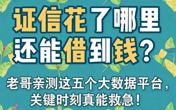 征信花了哪里还能借到钱？老哥亲测这五个大数据平台，关键时刻真能救急！