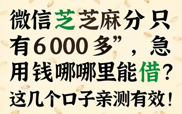 微信芝麻分只有600多，急用钱哪里能借？这几个口子亲测有效！