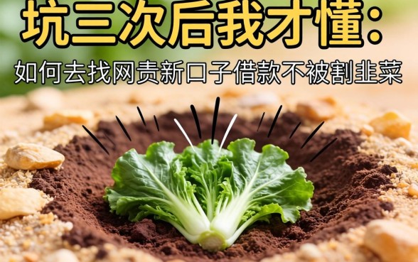 被坑三次后我才懂：如何去找网贷新口子借款不被割韭菜