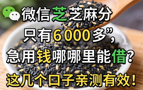 微信芝麻分只有600多，急用钱哪里能借？这几个口子亲测有效！