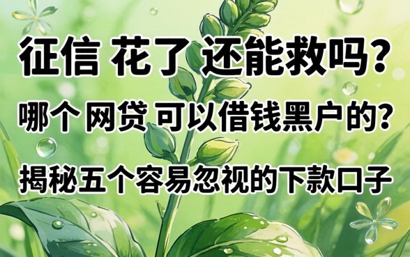 征信花了还能救吗?哪个网贷可以借钱黑户的?揭秘五个容易忽视的下款口子