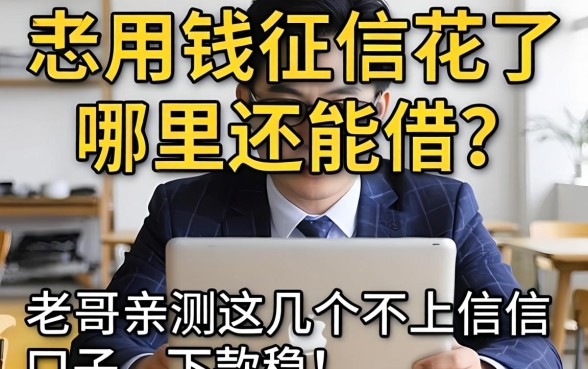急用钱征信花了哪里还能借？老哥亲测这几个不上征信的口子，下款稳！