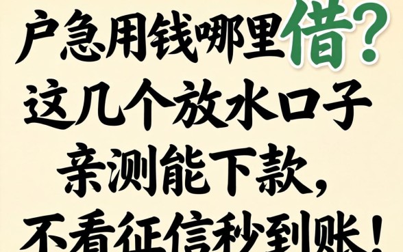 黑户急用钱哪里借?这几个放水口子亲测能下款,不看征信秒到账!