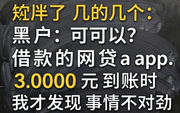 我试了几个黑户可以借款的网贷app，3000元到账时我才发现事情不对劲