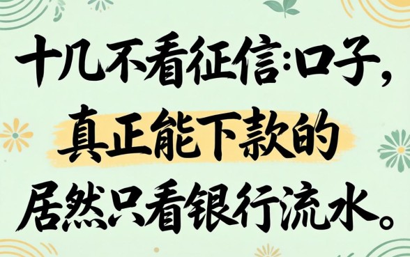 我翻了十几个不看征信的口子，发现真正能下款的居然只看银行流水